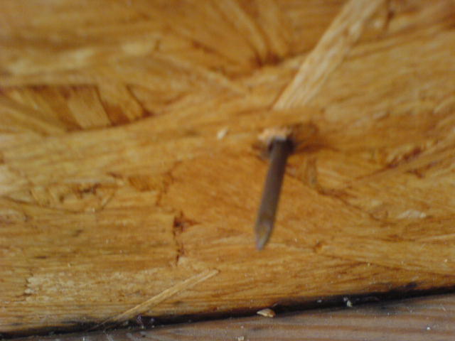 Nagel durch die dampfdichte Konstruktion, ohne Funktion, Baujahr 2008