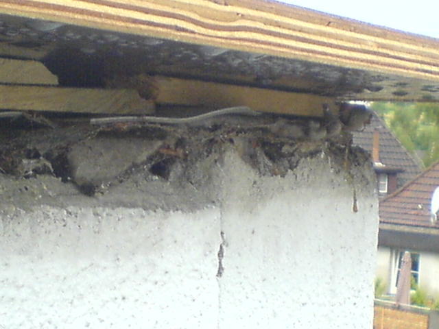 Mangelhaft ausgeführter Unterbau, Ausführung 2011